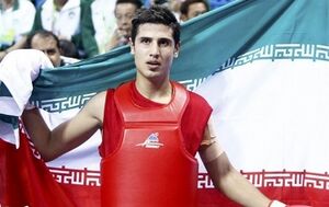 HamidRezaGholipour002.jpg